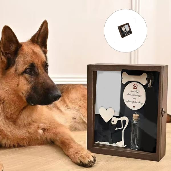 Kæledyrsminde Skyggeboks Kæledyrsminde Display Case Træ Kæledyrsbilledramme
