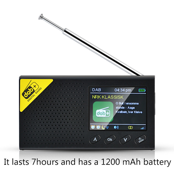 Inbyggt 1200mA 3.7V Batteri DAB-mottagare 87.5-108MHz FM-frekvensmottagare