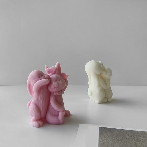 DIY form för att göra molds unika mould C
