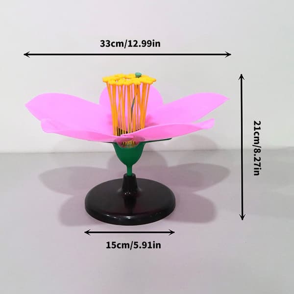 Forstørret anatomisk ferskenblomstmodel til undervisningsdemonstration i klasseværelset