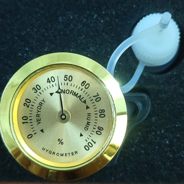 2-i-1 Gitarrfuktare Hygrometer Temperatur Luftfuktighetsmätare Inget Batteri