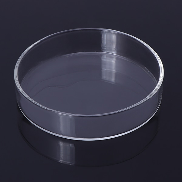 Rejefodringsfad Glasskåle Rund Bakke Akvarium Fiskefoder Flere størrelser 8cm
