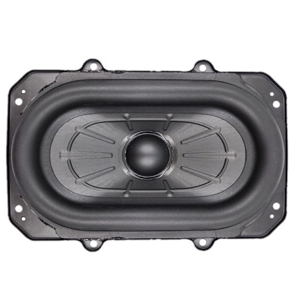 100W Oval Subwoofer Högtalare Woofer Hög Effekt Bas Subwoofer Högtalare