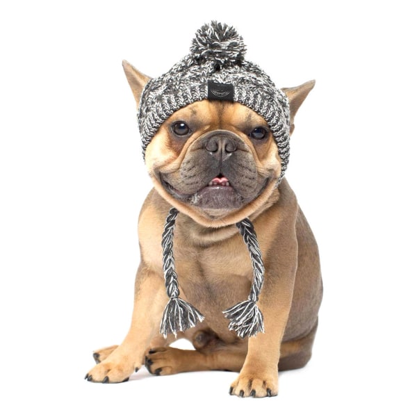 Vinter varm hundmössa Vindtät Puffy Ball Husdjurshuvudbonad för små medelstora franska bulldogg stickad cap M