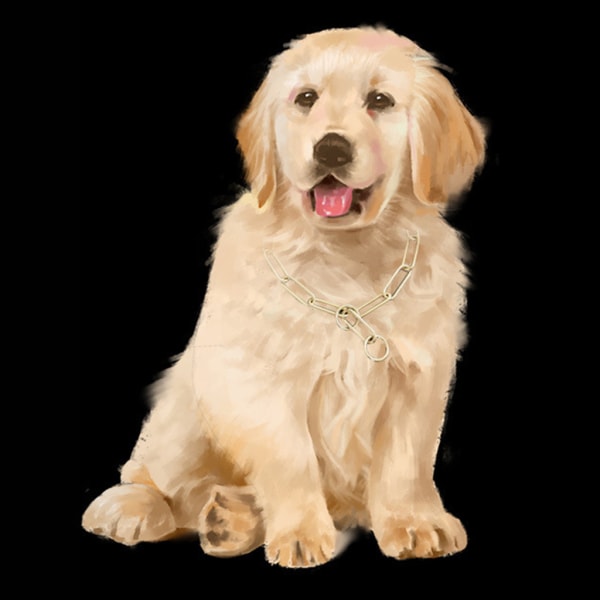 Fine Chain Dog Training Chocker Pure Copper Pet Training Supplies Hållbar L