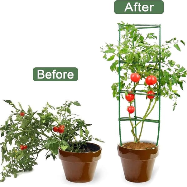 36 st Stake Arms för tomatbur för klätterväxter Trädgårdsväxter Grönsaker