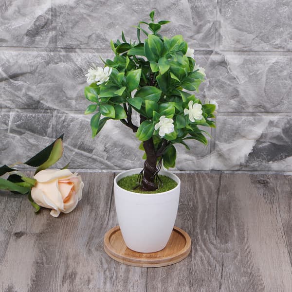 Rund Bambu Träfat Växtbricka Mini Växt Blomkruka Ställning Prydnad Suckulent