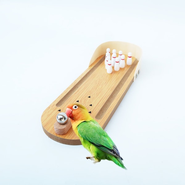 Parrot Intelligence Toys för Parakeet Cockatiel Ara Parrot Mini Bowling Set