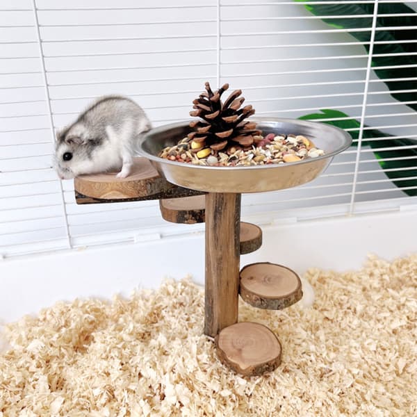 Stege Hamster Plattform Utrustning Roterande Stege Säker Tuggtålig