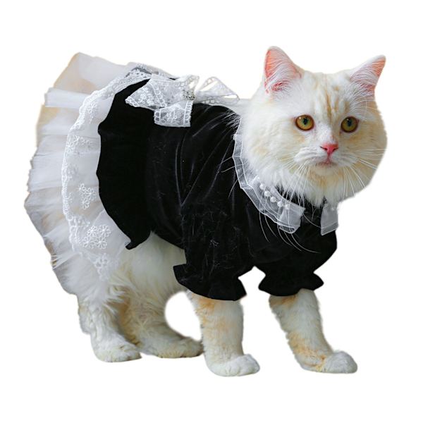 Hund Katt Klänning Kostym Husdjur Kläder Outfit Spetsdekorer Kläder för flickakatter
