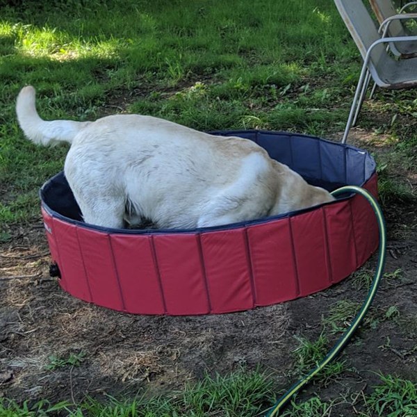Sammenleggbar hundebasseng i stivt materiale Blue 160x30cm