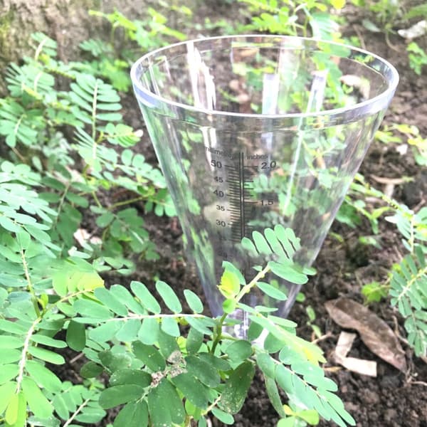Have Kegle Regnmåler Transparent Indsat Regnmåler Udstyr