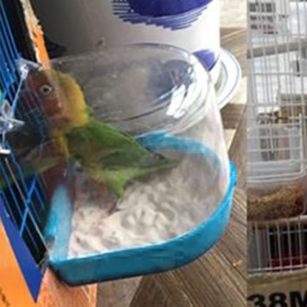 Pet Bird Bath Box Papegøje Badekar Bur Tilbehør til Parakeet Canary Conure