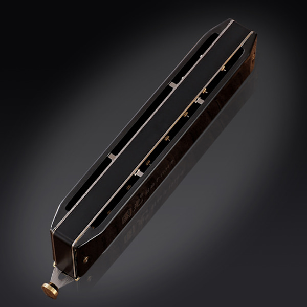 16-hulls munnspill med etui for nybegynnere, utmerket gave til musikk Black