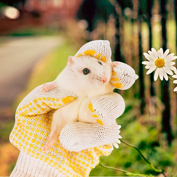 Handskar för hantering av små djur för papegojekorrar Hamster Igelkott Anti Scratch Hedgehog Anti Bite Handskar Safe Touch