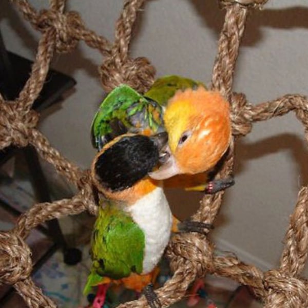 Fågelnät Hängmatta papegoja klätternät Vägghängande foderleksak Fågelklätternät L