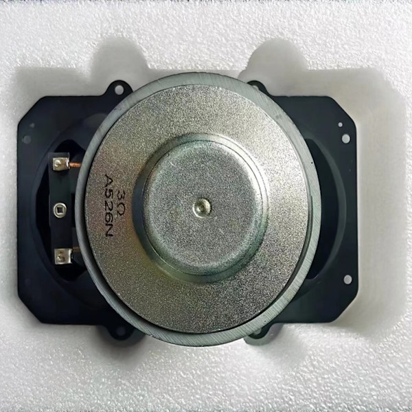 100W Oval Subwoofer Högtalare Woofer Hög Effekt Bas Subwoofer Högtalare