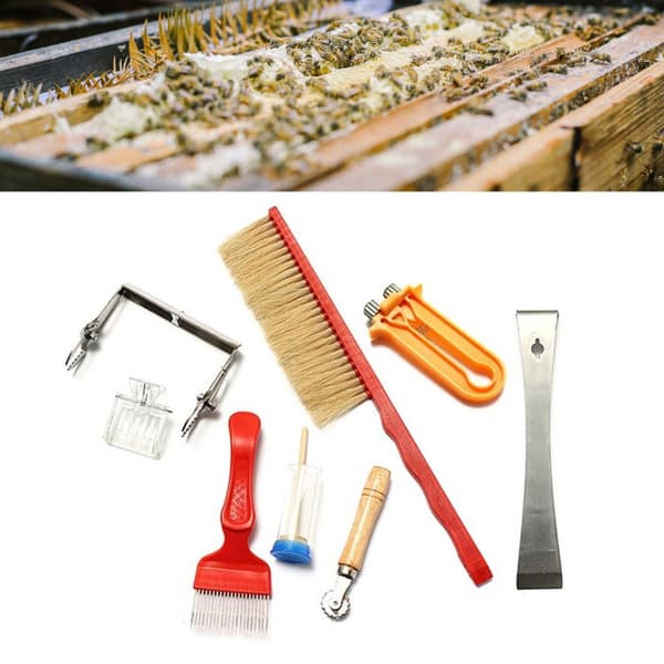 Biredskap Startkit för nybörjare och professionella