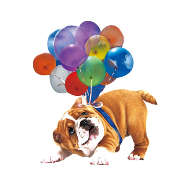 Värikäs Balloon Puppy Car Pendant Decor Auto Rearview Riippuva Charm
