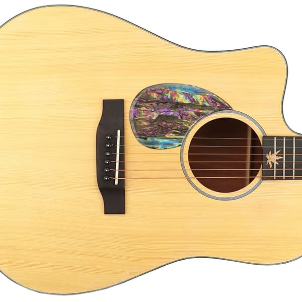 Plektrumskydd Färgglatt Sköldmönster Gitarr Faceplate för Gitarr