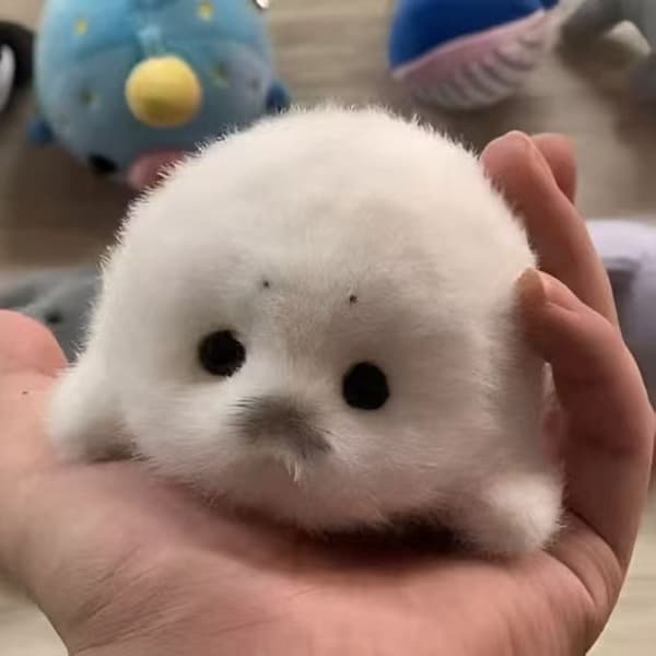 Adorkable säl gosedjur stressleksak kontor sovrum prydnadskudde