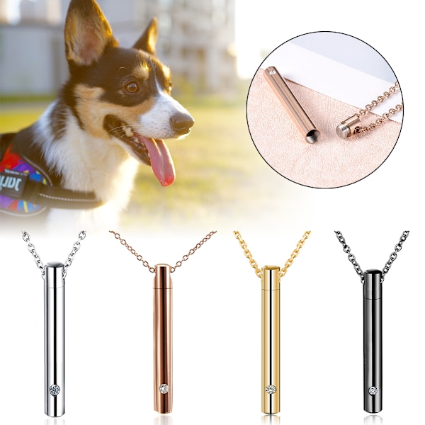 Minnesmerke anheng kjede halskjede for askeholder rustfritt stål for katt hund Ask minnesmerke beholder holder smykke Gold