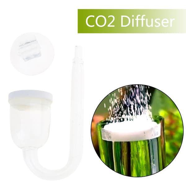 CO2 Diffuser Klar Glas Atomizer för Akvarium Planterat för Tank Tiny Bu