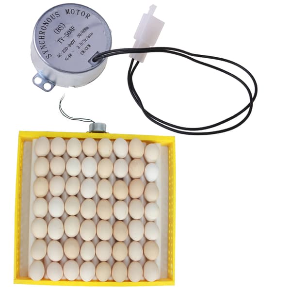 220V/AC Power Engine for Automatisk Egg Incubator Egg Tunner Tilbehør