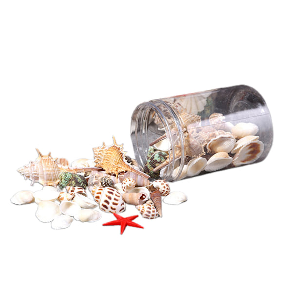 Snäckor Ornament Aquarium Decor 3 val Blandad strand Snäckskal Sjöstjärna Snäcka Hav Korall för fisk för tank Decora