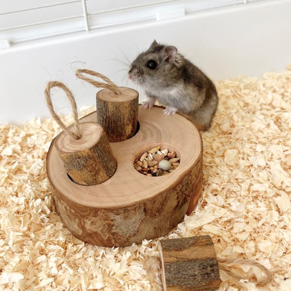 Kaniner Træ Foderbræt Hamster Godbidder Dispenser Kæledyr Naturlig Foderforsyning