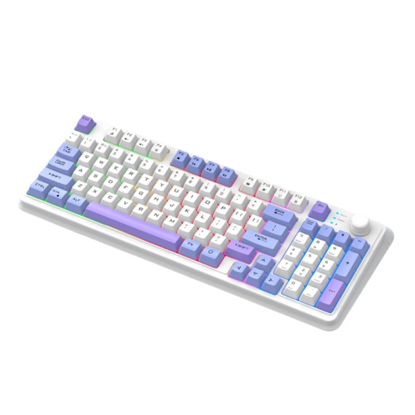 Gaming Keyboard RGB Light Mekanisk tastatur Gamer-tastatur Bluetooth-kompatibelt