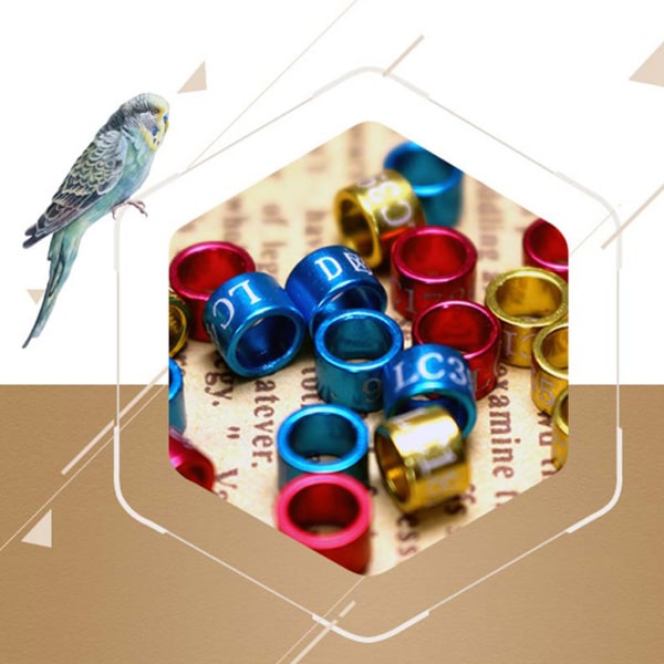 50st Fågelring Benband Metalletiketter Clip on Ben Rings för Bantam Finch Lovebird 3.3