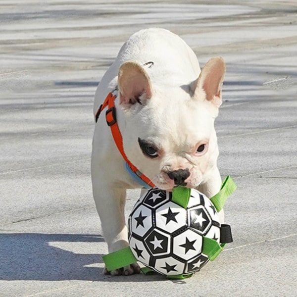 Utomhusträningshundleksak Interaktiv fotbollsleksak för små medelstora hundar 1