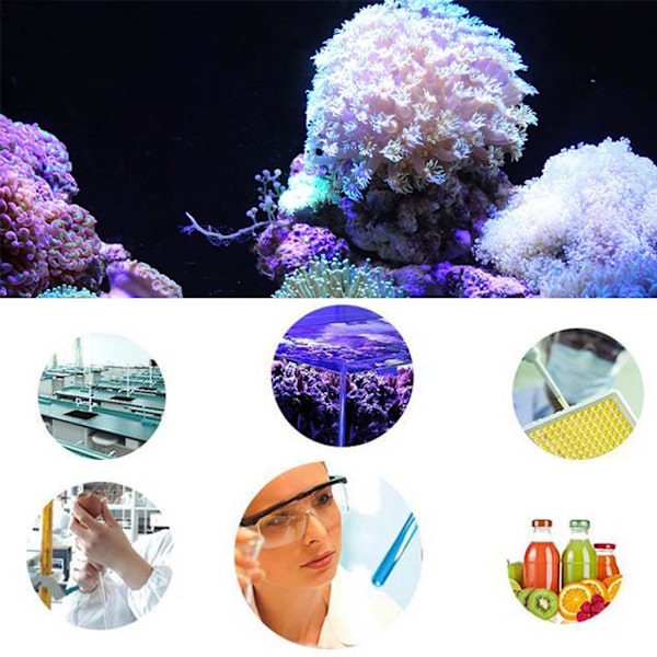 DP2 Autodoseringspumpe Automatisk Doser til Marine Reef Aquarium Fish til Tank Titrering System Peristaltisk pumpe EU