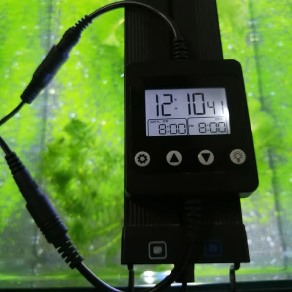 Indendørs digitale timere, let at indstille daglige tænd/sluk-tider, 24-timers timerprogram