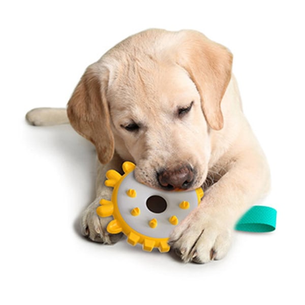 IQ Treat Toy for Dogs Interactive Molar Improving Pet Matsmältning Molar Chew Toy Lake Blue
