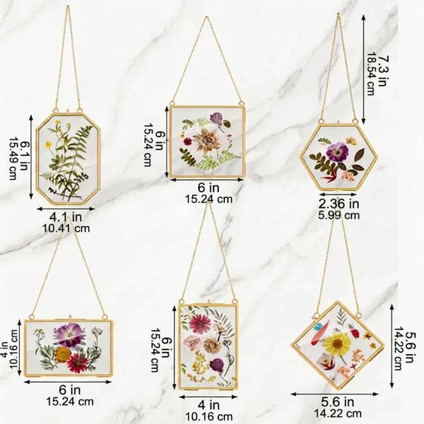 6 enheter mode metall glas bildramar lämpliga för botaniska utställningar