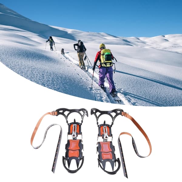 12-tands ispigge, skotraktion til ski