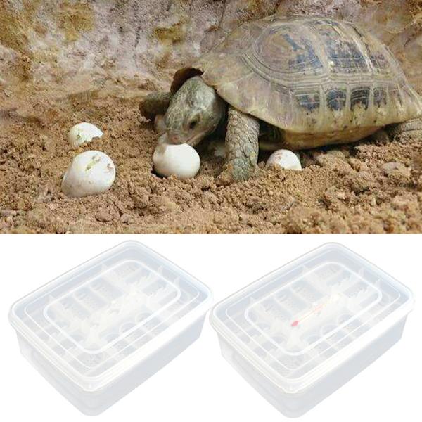 16 Grids Reptilegg Inkubator Reptiloppdrettsboks Reptilklekkebeholder Includes thermometer