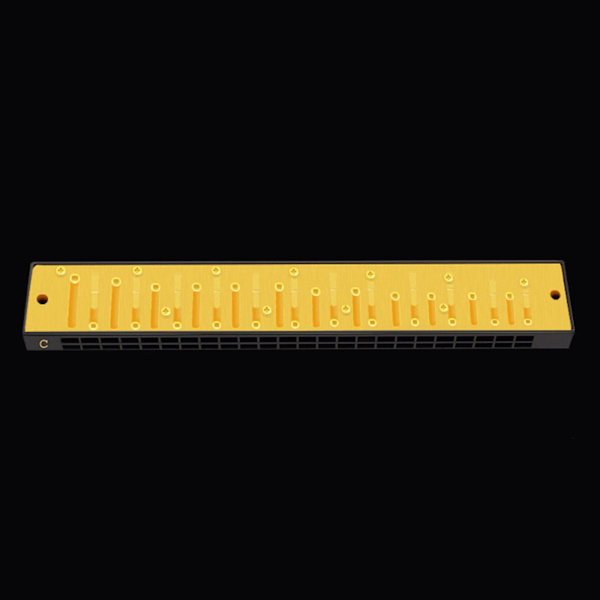Harmonika for C-dur 24 hull med aksenter C med etui for profesjonelle spillere C