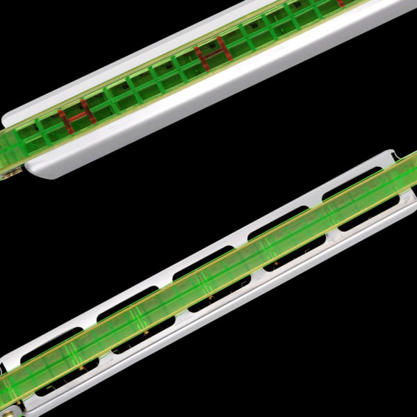 Harmonika for C-dur 24 hull med aksenter C med etui for profesjonelle spillere C