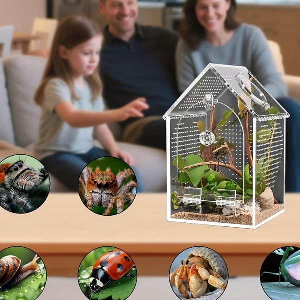 Splittersäkert akrylterrarium för reptiler för observation av växter och amfibier