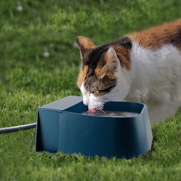 Cats Water Fountain Automatisk påfyllning vattendispenser 68OZ dricksskål