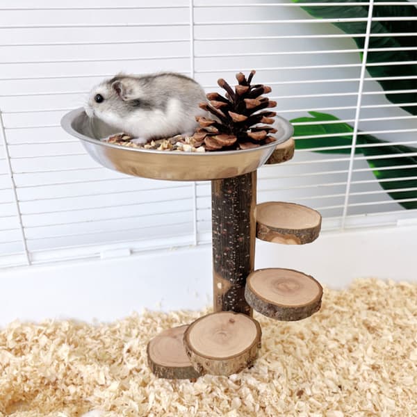 Stege Hamster Plattform Utrustning Roterande Stege Säker Tuggtålig