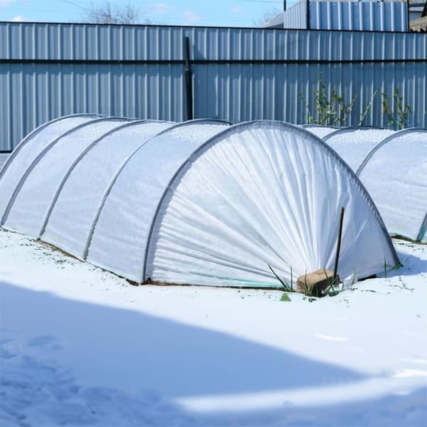 Havedækken Vinter Plante Komponent Vækst