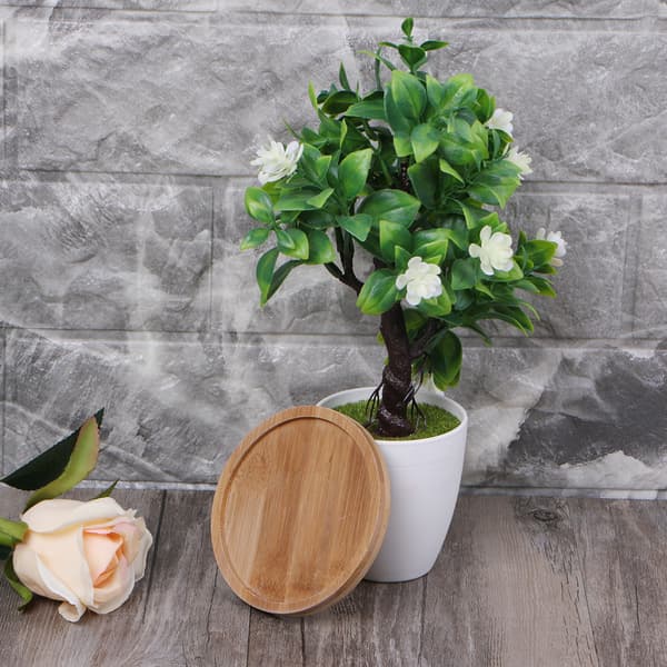 Rund Bambu Träfat Växtbricka Mini Växt Blomkruka Ställning Prydnad Suckulent