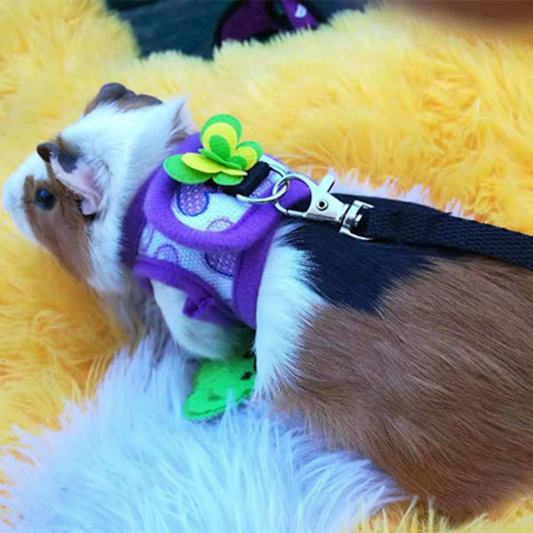 Varm väst koppel Sele Set Justerbart rep för små husdjursdjur för hamsterkanin Purple M