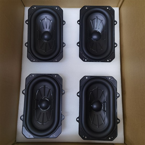 100W Oval Subwoofer Högtalare Woofer Hög Effekt Bas Subwoofer Högtalare