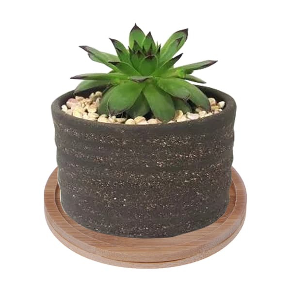 Rund Bambu Träfat Växtbricka Mini Växt Blomkruka Ställning Prydnad Suckulent