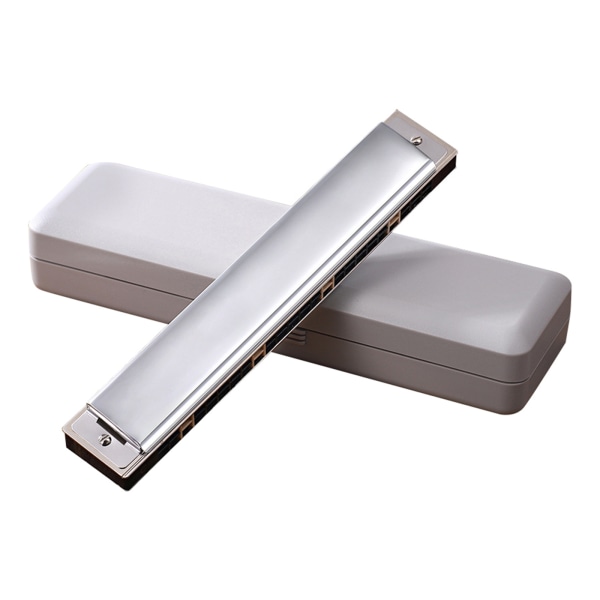 24 Hole Harmonica with for Case for Beginner Students, Excellent Gift for Music Silver F bG tone